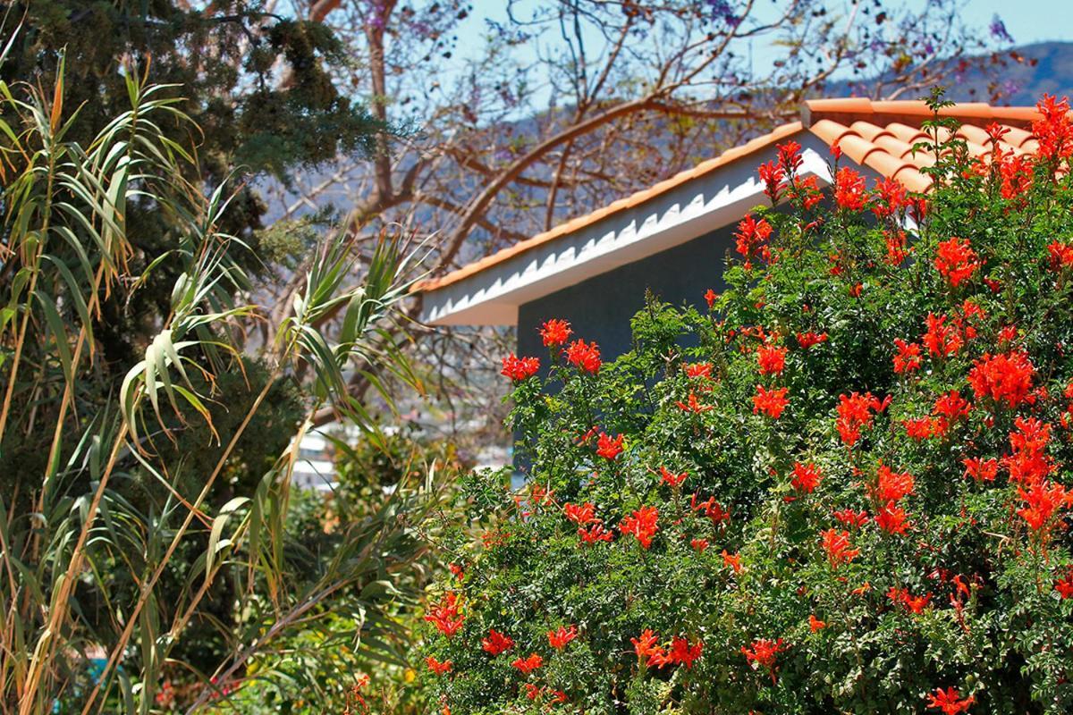 Casa Esther เอลปาโซ ภายนอก รูปภาพ