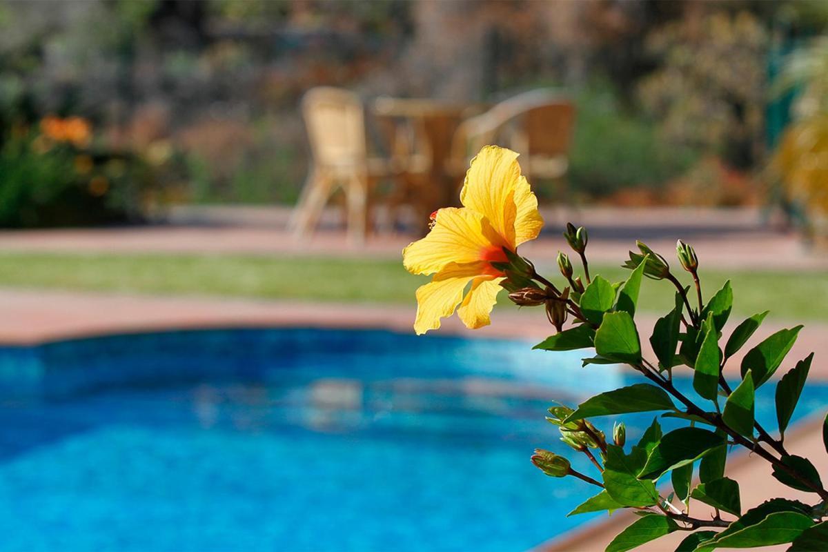 Casa Esther เอลปาโซ ภายนอก รูปภาพ